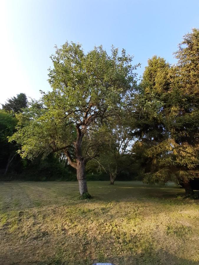 Villiers-le-MorhierAu Charme De L'Eure住宿加早餐旅馆 外观 照片